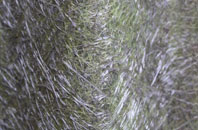 Hamm Moor fibreglass roof work